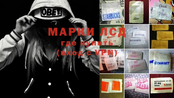 амф Майский
