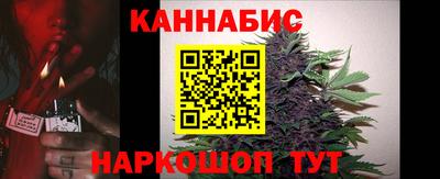 Альфа ПВП Кингисепп