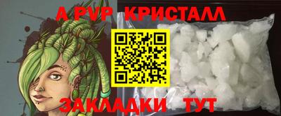 Альфа ПВП Кингисепп