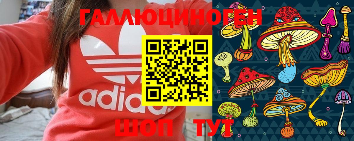 Псилоцибиновые грибы мухоморы Магадан